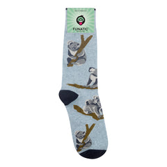 Koala Socks