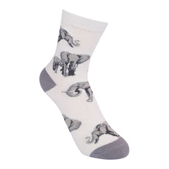 Elephant Kids 7-10yrs Socks
