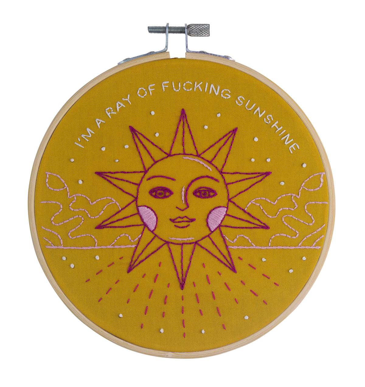 I'm A Ray Of Fucking Sunshine Embroidery Kit