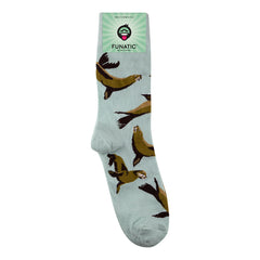 Sea Lion Socks